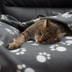 Pawty-fleecepeitto