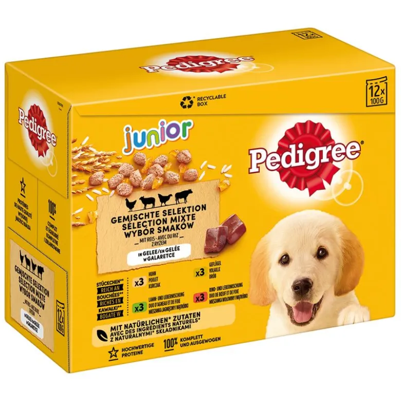 Pedigree Junior Fresh Pouches -monipakkaus