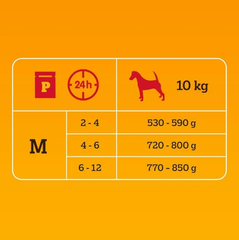 Pedigree Junior Fresh Pouches -monipakkaus