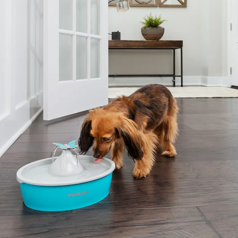 PetSafe® Drinkwell® Butterfly -vesiautomaatti