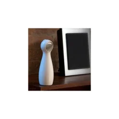 PetSafe® FroliCat® Bolt Laser -kissanlelu