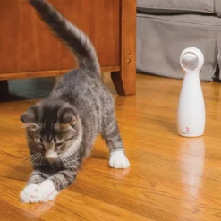 PetSafe® FroliCat® Bolt Laser -kissanlelu