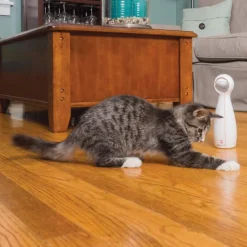 PetSafe® FroliCat® Bolt Laser -kissanlelu