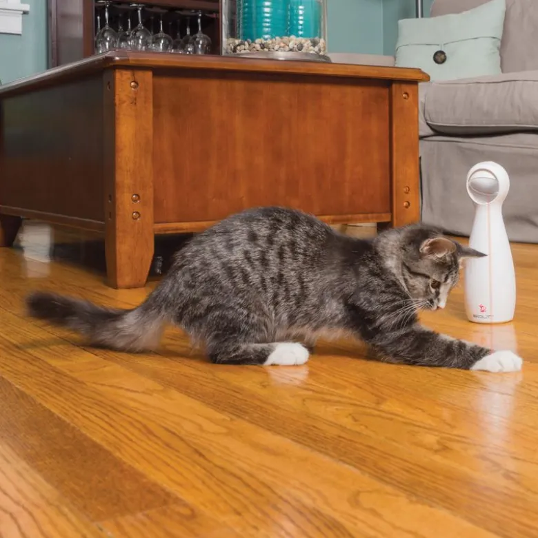 PetSafe® FroliCat® Bolt Laser -kissanlelu