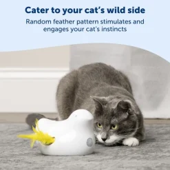 PetSafe® Peek-a-Bird elektroninen kissanlelu