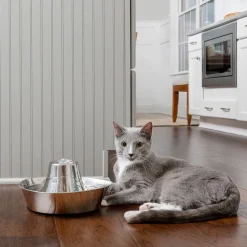PetSafe® Seaside -vesiautomaatti ruostumattomasta teräksestä
