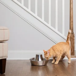 PetSafe® Seaside -vesiautomaatti ruostumattomasta teräksestä