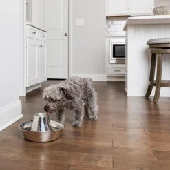 PetSafe® Seaside -vesiautomaatti ruostumattomasta teräksestä