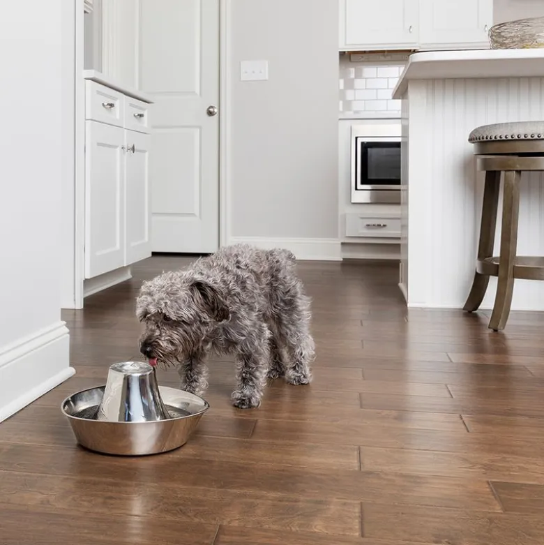 PetSafe® Seaside -vesiautomaatti ruostumattomasta teräksestä