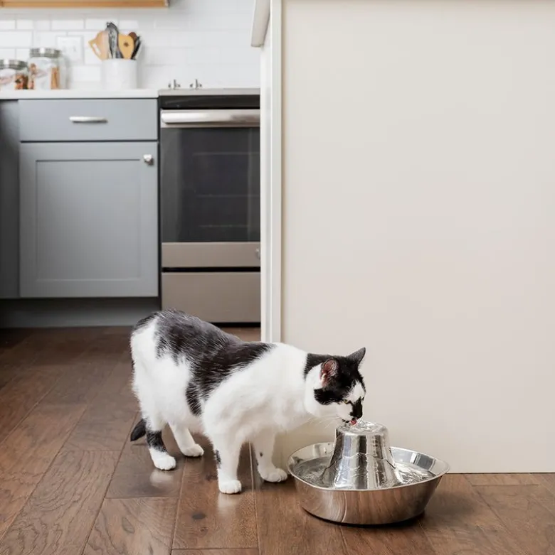 PetSafe® Seaside -vesiautomaatti ruostumattomasta teräksestä
