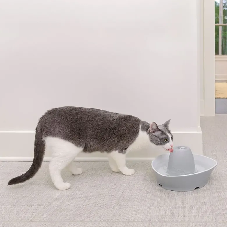 PetSafe® Streamside -vesiautomaatti, keraaminen