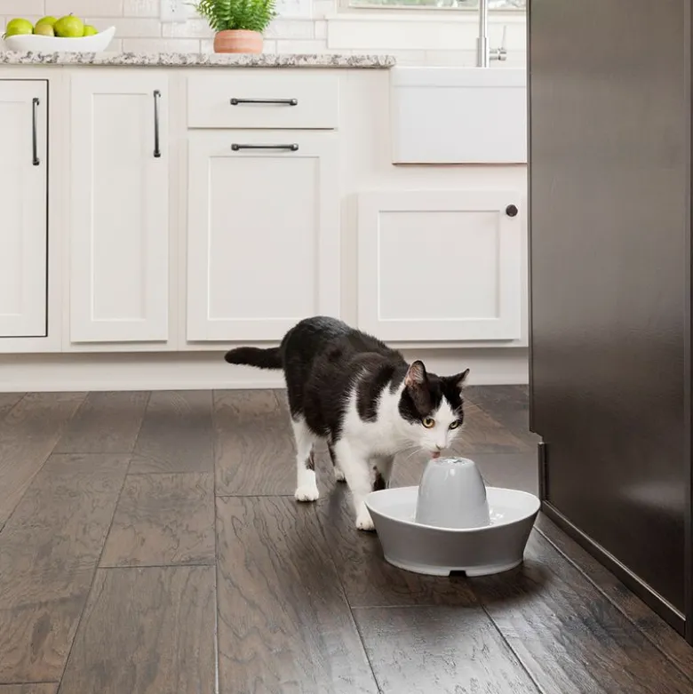PetSafe® Streamside -vesiautomaatti, keraaminen