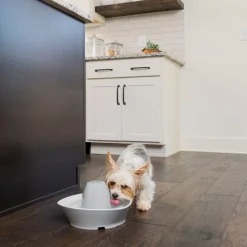 PetSafe® Streamside -vesiautomaatti, keraaminen