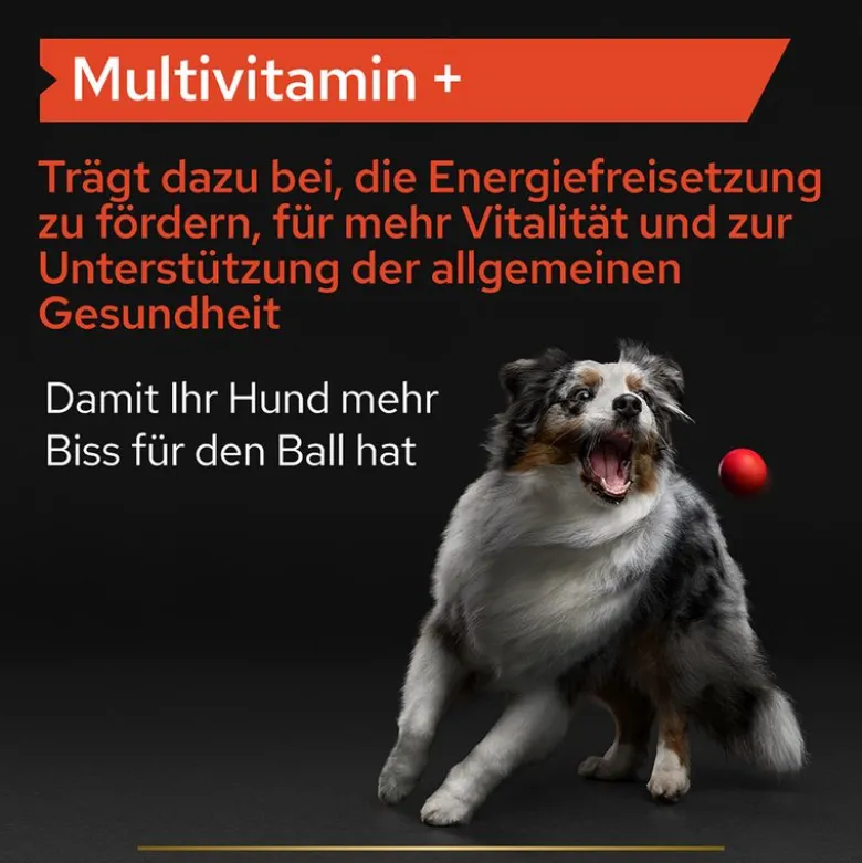 PRO PLAN Dog Adult Multivitamin Supplement -tabletit