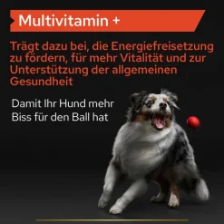 PRO PLAN Dog Adult Multivitamin Supplement -tabletit
