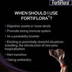 Purina Pro Plan Fortiflora Canine Probiotic