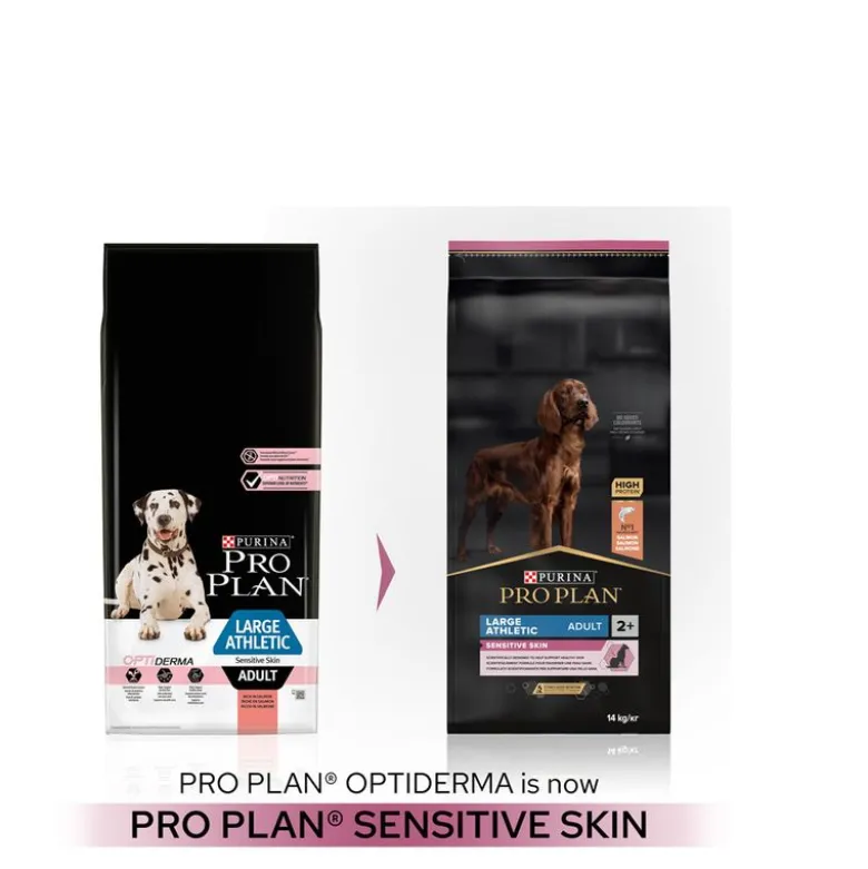 PURINA PRO PLAN Large Athletic Adult Sensitive Skin lohi