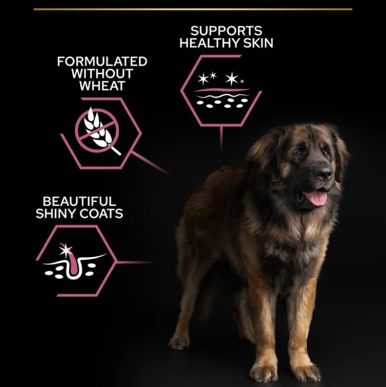 PURINA PRO PLAN Large Robust Adult Sensitive Skin lohi