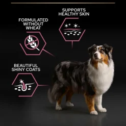 PURINA PRO PLAN Medium & Large Adult 7+ Sensitive Skin