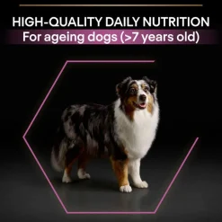 PURINA PRO PLAN Medium & Large Adult 7+ Age Defence