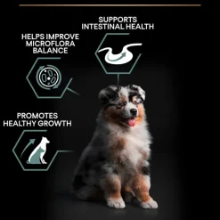 PURINA PRO PLAN Medium Puppy Sensitive Digestion lammas & riisi