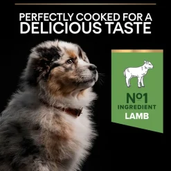 PURINA PRO PLAN Medium Puppy Sensitive Digestion lammas & riisi