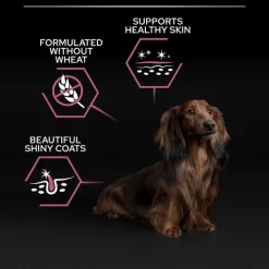 PURINA PRO PLAN Small & Mini Adult Sensitive Skin