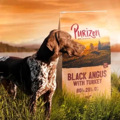 Purizon Adult black angus & kalkkuna - viljaton