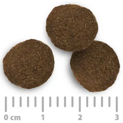 Purizon Adult kala - viljaton