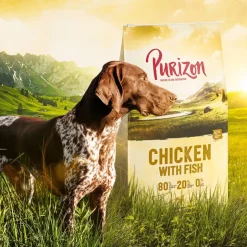 Purizon Adult kana & kala - viljaton