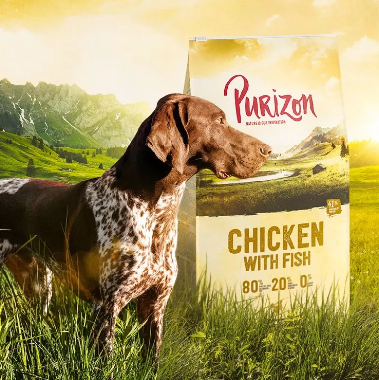 Purizon Adult kana & kala - viljaton