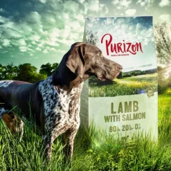 Purizon Adult lammas & lohi - viljaton