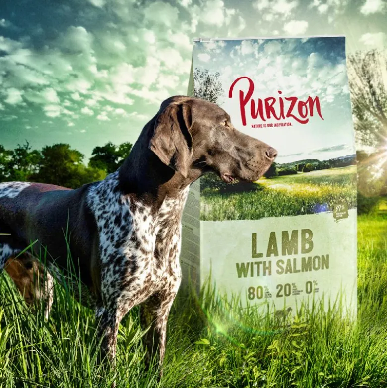 Purizon Adult lammas & lohi - viljaton