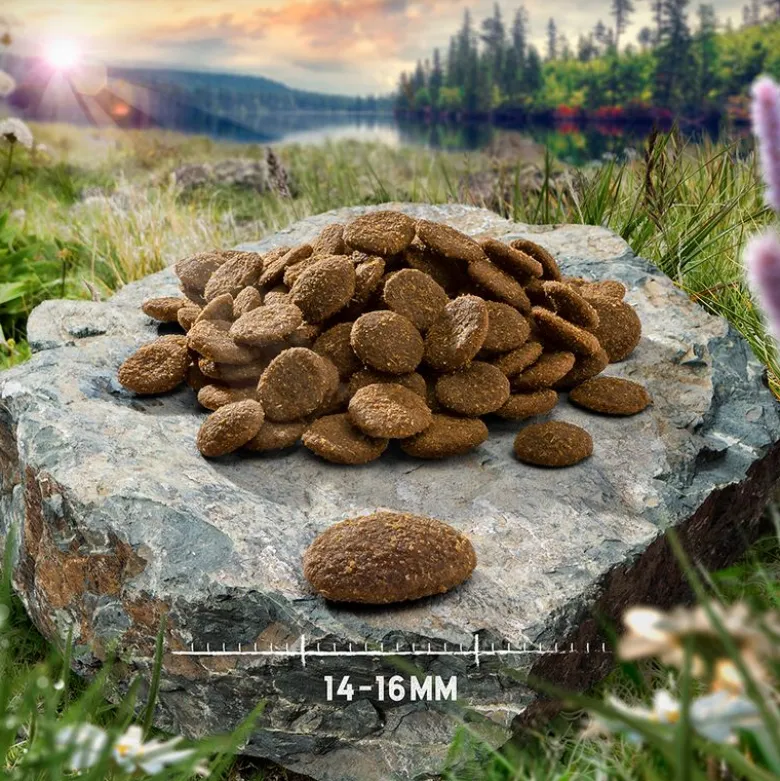 Purizon Large Puppy kana & kala – viljaton