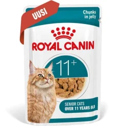 Royal Canin Ageing 11+ hyytelössä