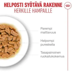 Royal Canin Ageing 11+ kastikkeessa