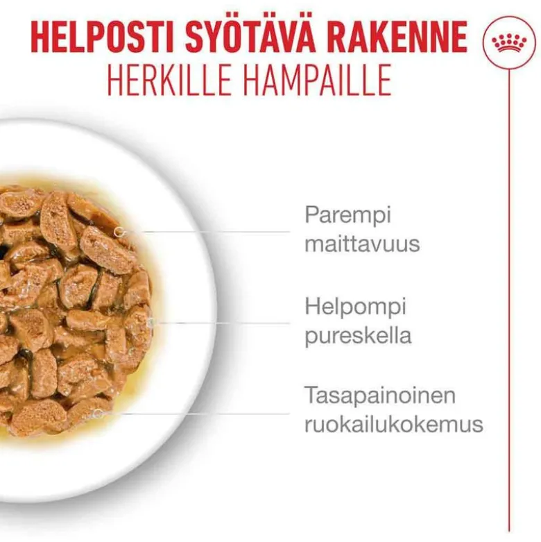 Royal Canin Ageing 11+ kastikkeessa
