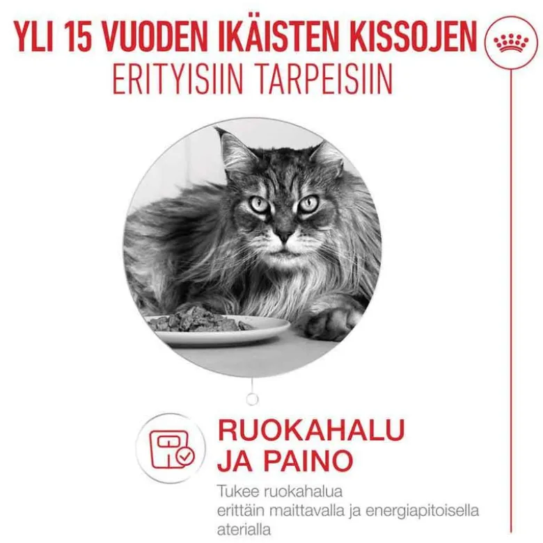 Royal Canin Ageing 15+ kastikkeessa