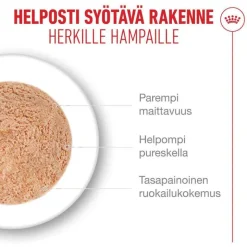 Royal Canin Ageing 15+ Mousse