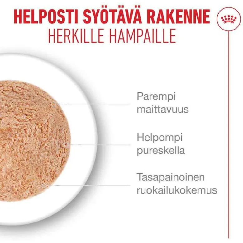 Royal Canin Ageing 15+ Mousse