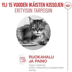 Royal Canin Ageing 15+ Mousse