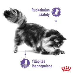 Royal Canin Appetite Control Care hyytelössä