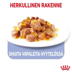 Royal Canin Appetite Control Care hyytelössä
