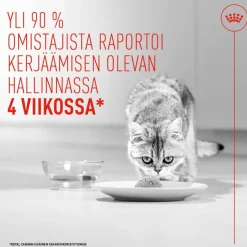 Royal Canin Appetite Control Care AirLift Mousse