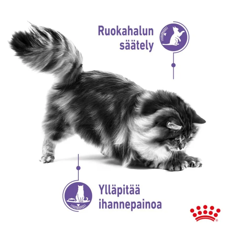 Royal Canin Appetite Control Care