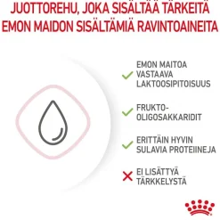 Royal Canin Babycat Milk