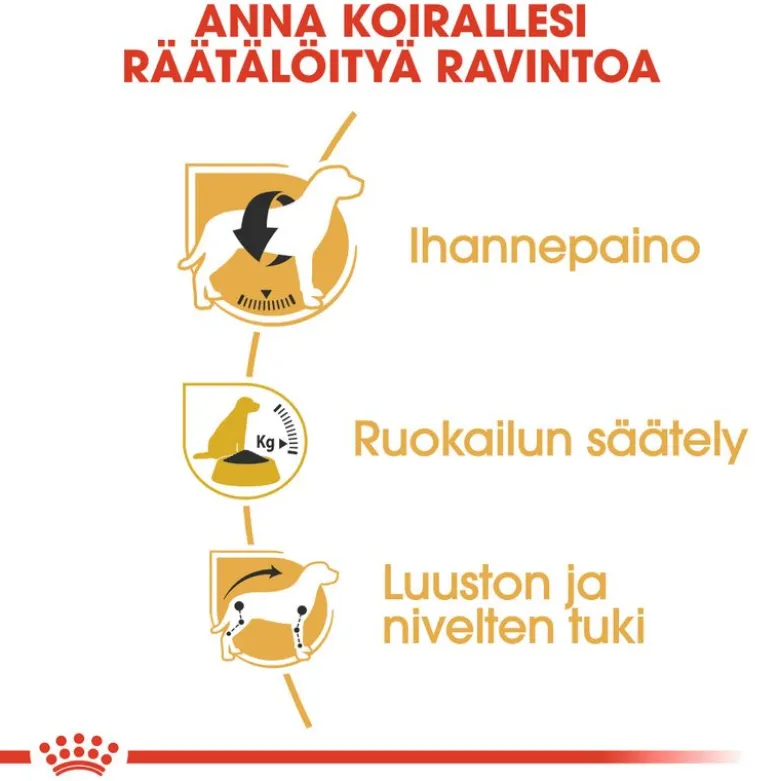 Royal Canin Beagle Adult
