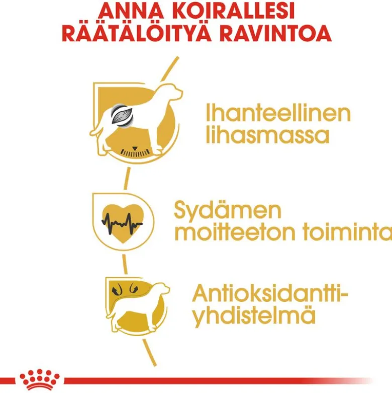 Royal Canin Boxer Adult