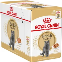 Royal Canin British Shorthair Adult in Gravy