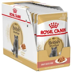 Royal Canin British Shorthair Adult in Gravy
